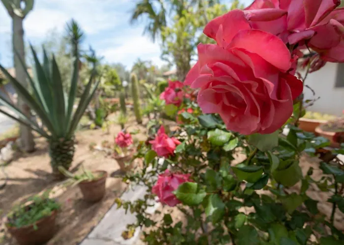 En-suite Triple Room-giardino A Mare ゲストハウス 3*